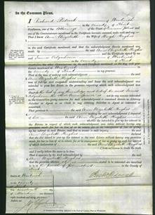 Court of Common Pleas - Ann Elizabeth Hughes-Original Ancestry