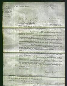 Court of Common Pleas - Catharine Pyke-Original Ancestry