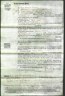 Court of Common Pleas - Jane Ellis-Original Ancestry
