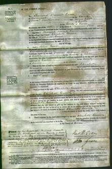 Court of Common Pleas - Elizabeth Cornish Cann-Original Ancestry