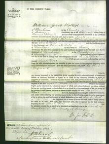 Court of Common Pleas - Sarah Foot-Original Ancestry