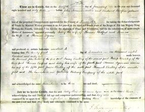 Deed by Married Women - Sally Redford and Louisa Dyson-Original Ancestry