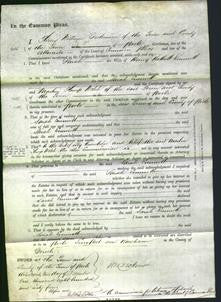 Court of Common Pleas - Sarah Emmott-Original Ancestry