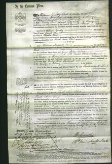 Court of Common Pleas - Sarah Ann Rust-Original Ancestry