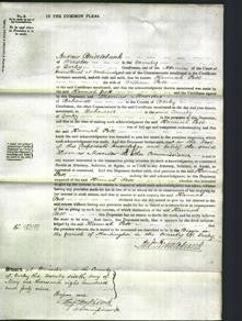 Court of Common Pleas - Hannah Pett-Original Ancestry