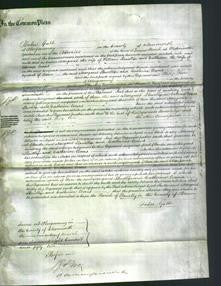Court of Common Pleas - Margaret Llewellyn-Original Ancestry