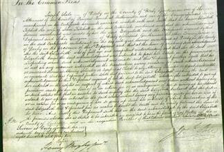 Court of Common Pleas - Elizabeth Fitchett