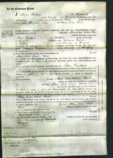 Court of Common Pleas - Mary Ann Oliver Steed-Original Ancestry