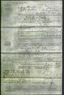 Court of Common Pleas - Mary Ann Parkes-Original Ancestry