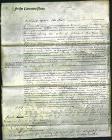Court of Common Pleas - Mary Addison-Original Ancestry