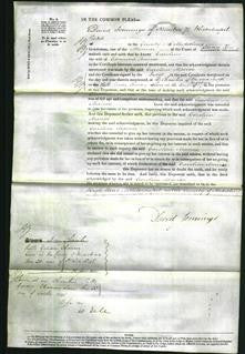 Court of Common Pleas - Caroline MacRae-Original Ancestry