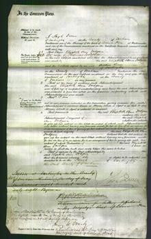 Court of Common Pleas - Elizabeth Ann Dodgson-Original Ancestry