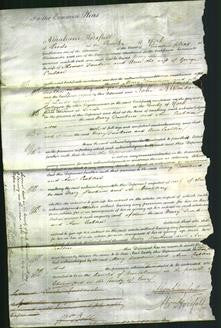 Court of Common Pleas - Mary Dawkins, Ann Crabtree-Original Ancestry