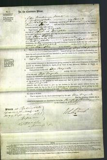 Court of Common Pleas - Eliza Augusta Houghton-Original Ancestry
