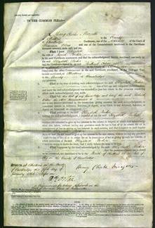 Court of Common Pleas - Elizabeth Broker-Original Ancestry