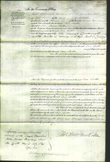 Court of Common Pleas - Jane Stratton-Original Ancestry