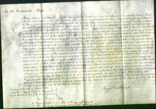 Court of Common Pleas - Eliza Burroughs, Ann Bryant and Elizabeth Cains-Original Ancestry