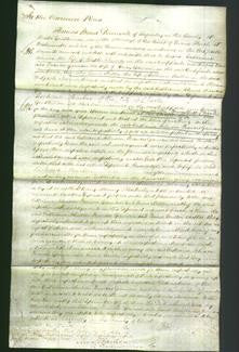 Court of Common Pleas - Catherine Johnson-Original Ancestry