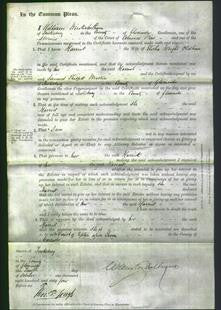 Court of Common Pleas - Harriet Oldham-Original Ancestry