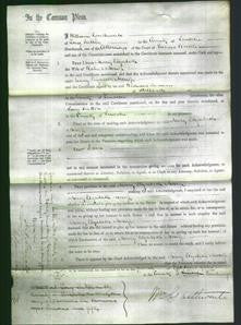 Court of Common Pleas - Mary Elizabeth Mossop-Original Ancestry