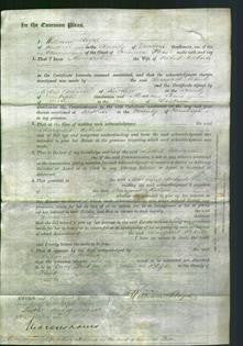 Court of Common Pleas - Margaret Roberts-Original Ancestry