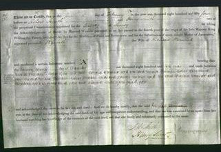 Deed by Married Women - Elizabeth Warwick-Original Ancestry