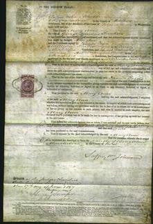 Court of Common Pleas - Mary Ann Tomkin-Original Ancestry