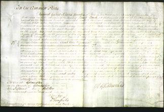 Court of Common Pleas - Mary White-Original Ancestry