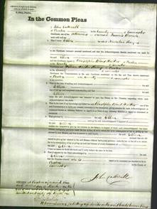 Court of Common Pleas - Ellen Hayes-Original Ancestry