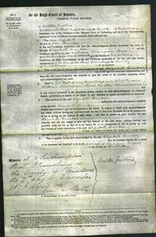 Court of Common Pleas - Elizabeth Bunker-Original Ancestry