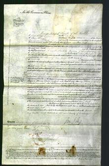 Court of Common Pleas - Ann Ivatt-Original Ancestry