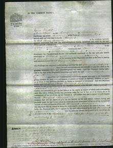 Court of Common Pleas - Margaret Andrews-Original Ancestry