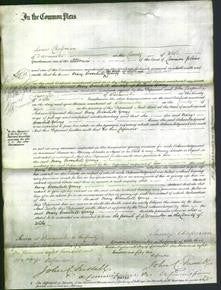 Court of Common Pleas - Mary Greenhill Young-Original Ancestry