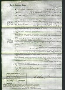 Court of Common Pleas - Mary Linforth-Original Ancestry