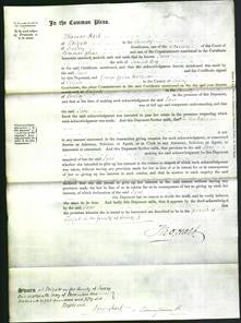 Court of Common Pleas - Jane Reef-Original Ancestry