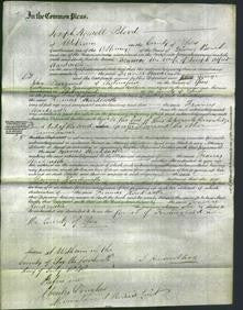 Court of Common Pleas - Frances Hardcastle-Original Ancestry