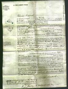 Court of Common Pleas - Esther Johnson-Original Ancestry