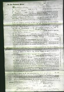 Court of Common Pleas - Rebecca Jenkinson and Nancy Isabella Hodgson-Original Ancestry