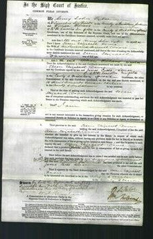 Court of Common Pleas - Ellen Elizabeth Davis-Original Ancestry