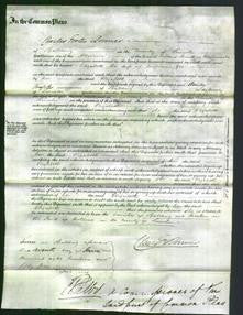 Court of Common Pleas - Elizabeth Gee-Original Ancestry