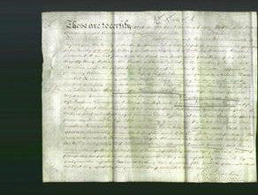 Deed by Married Women - Catherine Johnson-Original Ancestry