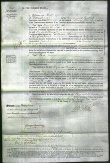 Court of Common Pleas - Elizabeth Phillipps-Original Ancestry