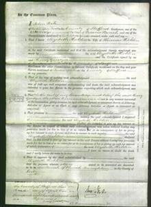 Court of Common Pleas - Elizabeth Hicklin-Original Ancestry