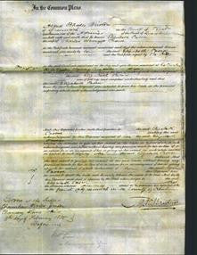 Court of Common Pleas - Elizabeth Pascoe-Original Ancestry