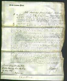 Court of Common Pleas - Isabella Lister-Original Ancestry