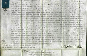 Court of Common Pleas - Mary Reed, Eliza Reed-Original Ancestry