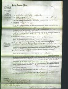 Court of Common Pleas - Patience Clare