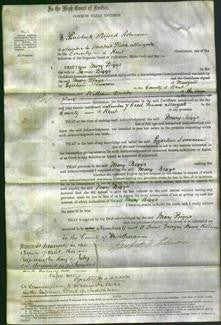 Court of Common Pleas - Mary Biggs-Original Ancestry