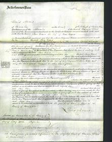 Court of Common Pleas - Ann Evans-Original Ancestry