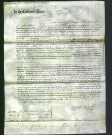 Court of Common Pleas - Rebecca Dennett-Original Ancestry